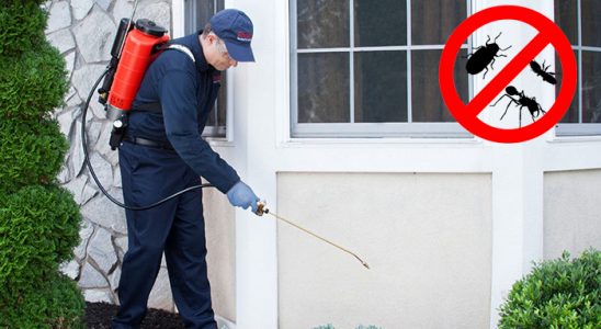 Payas Kene İlaçlama böcek ilaçlama ve haşere kontrolü — ilaclama-tr.com